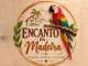 Encanto da Madeira Peças de Madeira Feitas a Mão